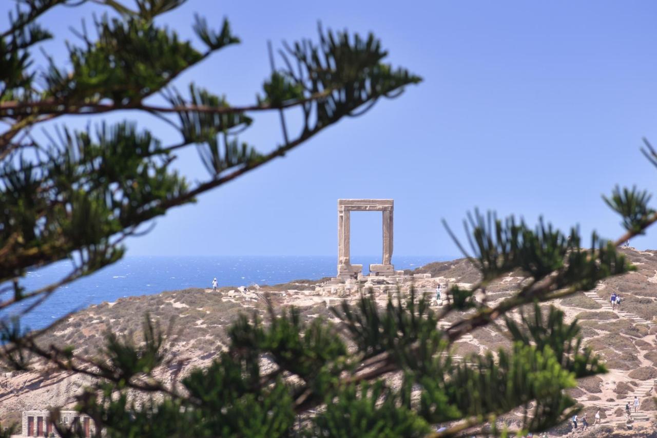 Mariet Naxos Spa & Suites Naxos City Exterior photo